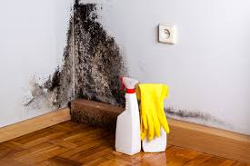 Best Mold Removal for HVAC Installations  in Flint Hill, MO